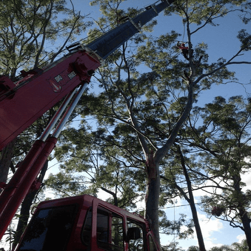 city crane trucks